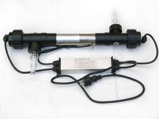 Lampen