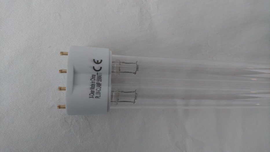 Aquaforte Xclear 55 watt Sierviskwekerij Boerma is de grootste koikwekerij van Noord Nederland.