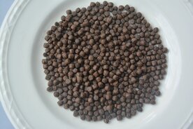 Groeikleur voer 6,0 mm 5 kg